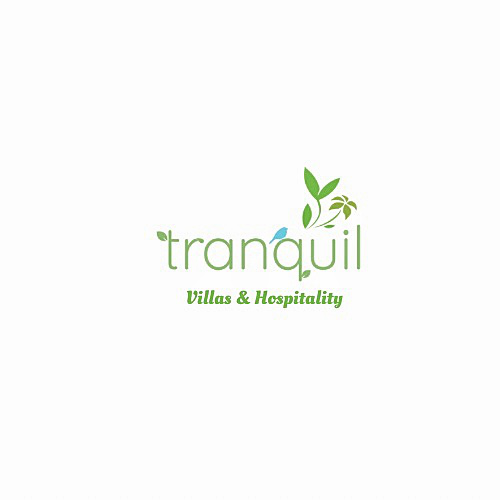  Logo